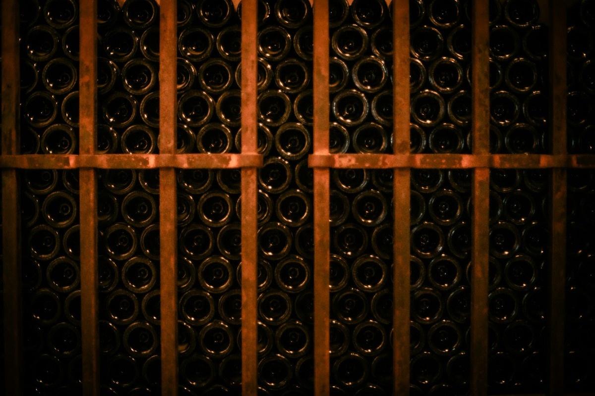 South River Vineyard